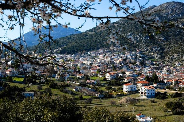 Εκδρομή στα Βίλια για τον Σύλλογο Κατοίκων Αμπελακίων Αλίμου