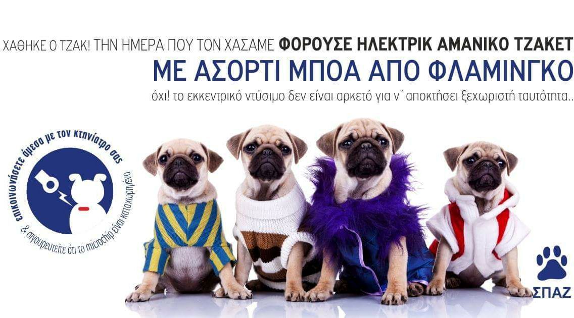Η ανακοίνωση του ΣΠΑΖ για τους σκύλους με μικροτσίπ που δεν είναι καταχωρημένα