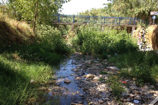 Εθελοντικός καθαρισμός του ρέματος της Πικροδάφνης