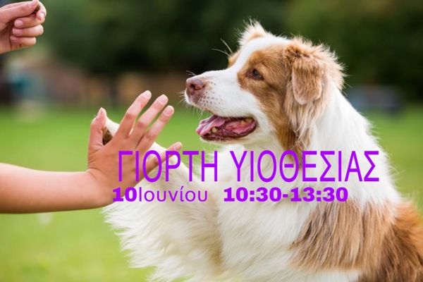 Αύριο η 2η Γιορτή Υιοθεσίας Σκύλου στον Άλιμο