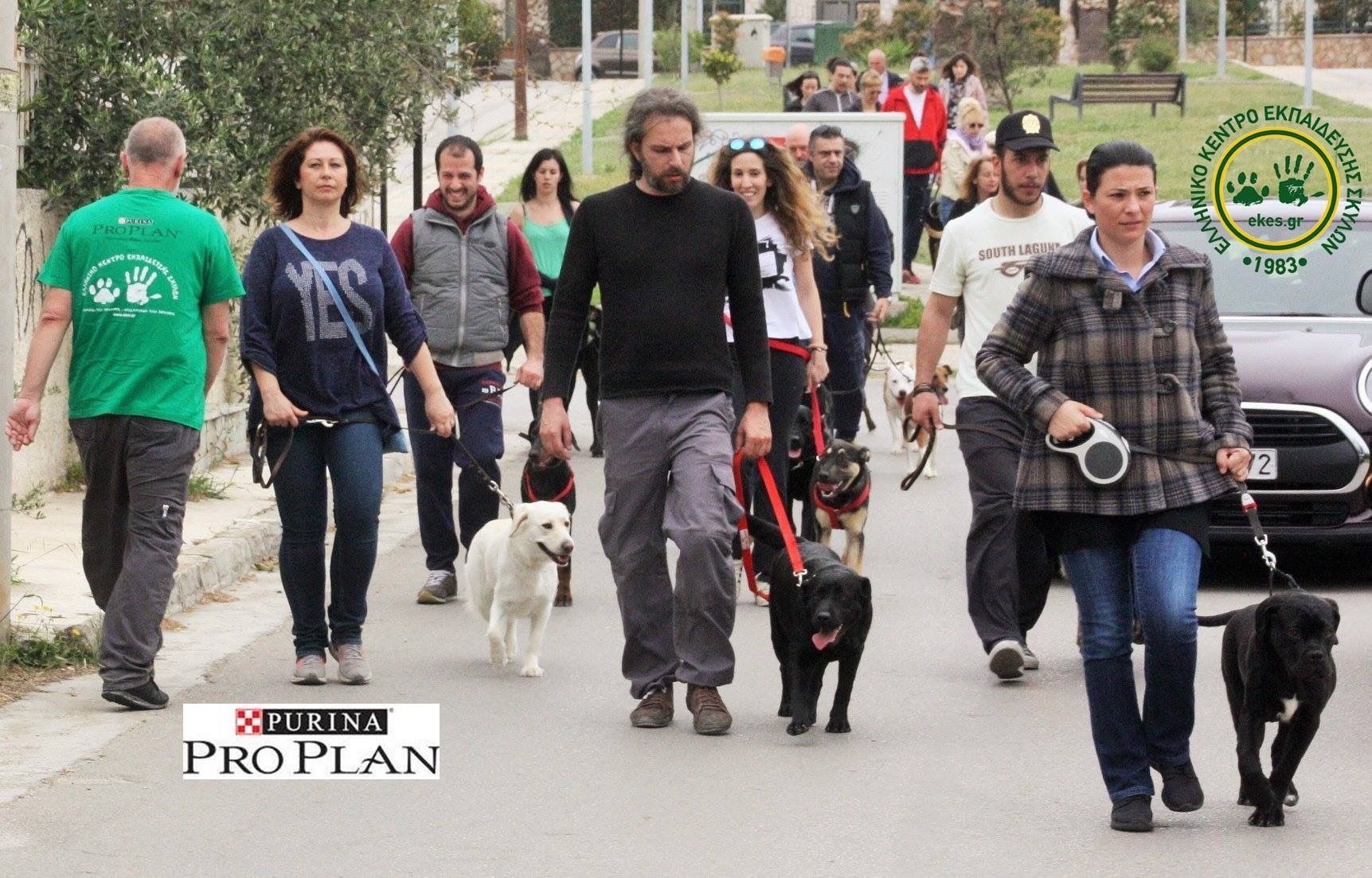 «Μαθαίνω να κυκλοφορώ με τον σκύλο μου» : Μία εκδήλωση στους δρόμους του Αλίμου