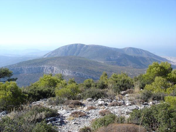 Το Ελληνικό είναι ο πρώτος Δήμος που χρησιμοποιεί το σύστημα θερμικής πυρανίχνευσης