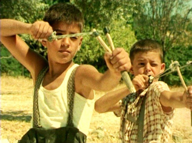 «Το δέντρο που πληγώναμε», απόψε στο Cine Άλιμος