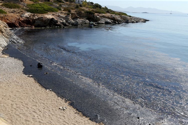 «Καμπανάκι» από τη WWF για τις ελληνικές θάλασσες με αφορμή την έρευνα και εξόρυξη υδρογανανθράκων αλλά και το περσινό ναυάγιο του Αγία Ζώνη ΙΙ