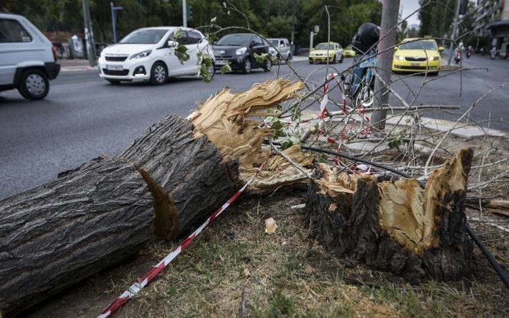 Σχεδόν 600 κλήσεις έχει δεχθεί η Πυροσβεστική απ όλες τις περιοχές της Αττικής