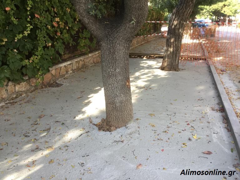 Τα δέντρα χρειάζονται αγάπη και σεβασμό