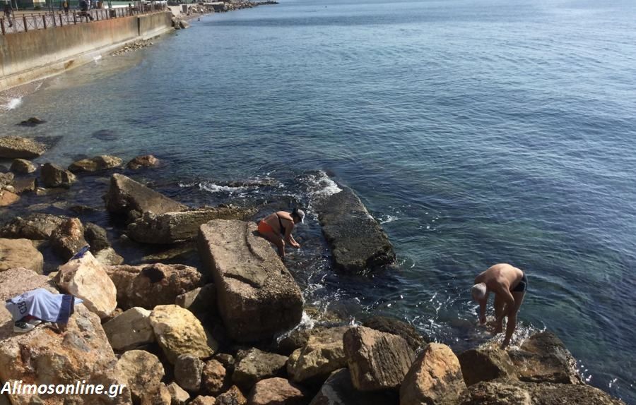Ψάχνοντας αχινούς τον Νοέμβριο