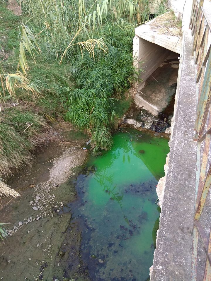Tα πράσινα απόβλητα που εμφανίστηκαν στο Ρέμα Αγίου Δημητρίου – Το σχόλιο του Δημάρχου Αλίμου