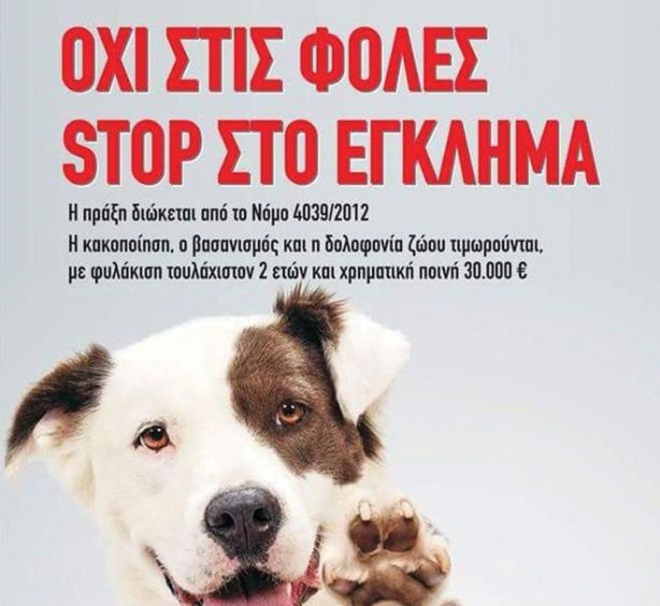 Φόλες στην οδό Πάτμου
