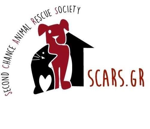 Το χριστουγεννιάτικο bazaar του Scars.gr θα διεξαχθεί στο ΕΠΑΛ Αλίμου