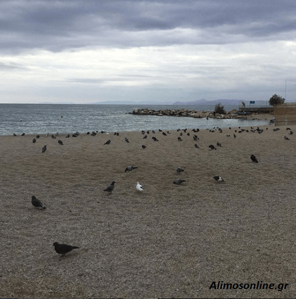 Ο καιρός στον Άλιμο – Η θερμοκρασία πέφτει αισθητά
