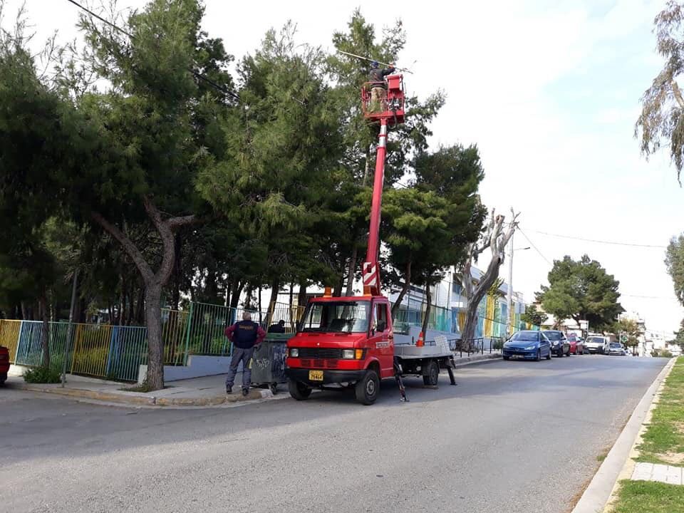 Καθαρισμός των δέντρων του Αλίμου από τα κουκούλια