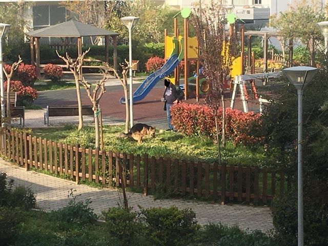Δυστυχώς δεν μπορείς να κάνεις πολλά όταν δεν υπάρχει κοινωνική ευαισθησία