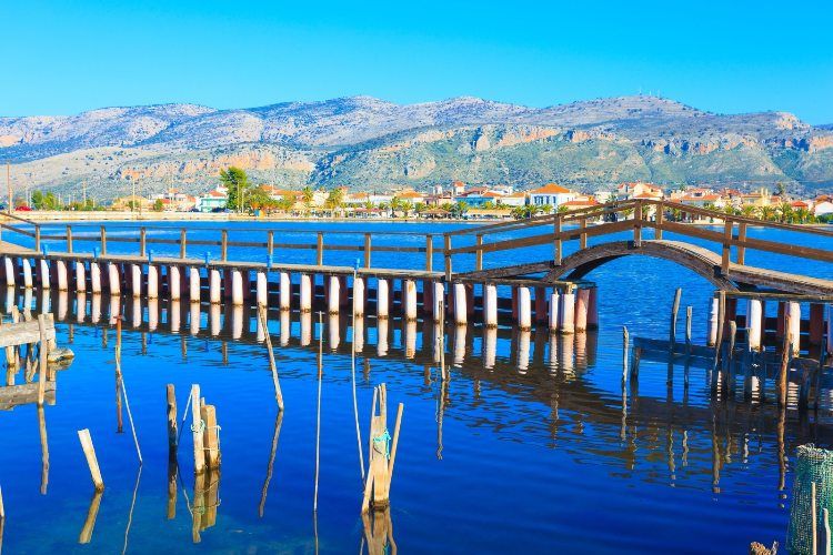 Εκδρομή στο Μεσολόγγι για το «Νότιον Σήμα»