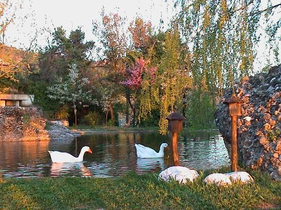Ο Σύλλογος Κατοίκων Αμπελακίων πάει εκδρομή στα Καλάβρυτα