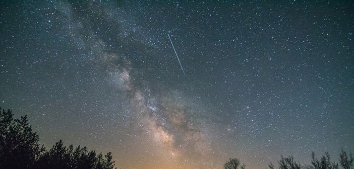 Απόψε θα βρέξει Λυρίδες -Τα πρώτα «πεφταστέρια» της Άνοιξης