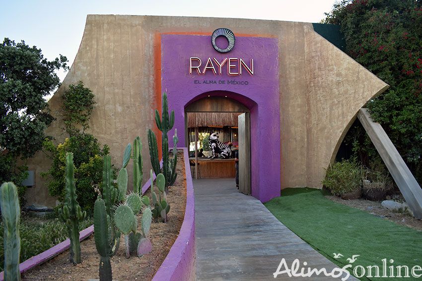 Rayen: Μεξικάνικο φαγητό με θέα τη θάλασσα στην παραλία Αλίμου