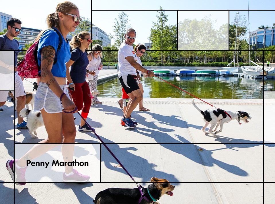 Την Κυριακή διοργανώνεται το Penny Marathon στο ΚΠΙΣΝ- Πάρτε τα σκυλάκια σας και τρέξτε με το σκυλάκι σας