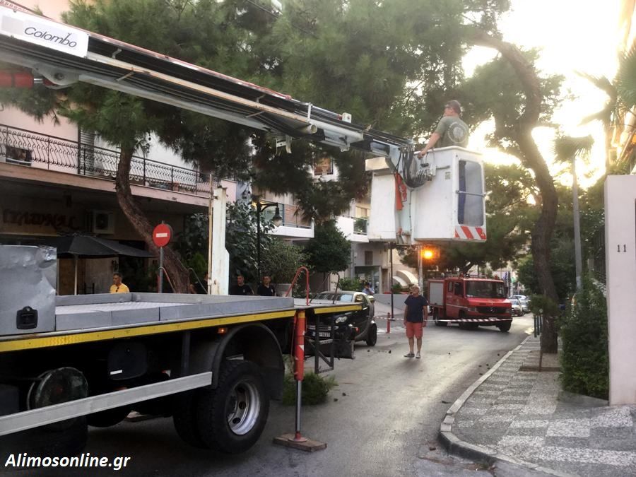 Επιχείρηση της πυροσβεστικής στη Θουκυδίδου ώστε να κοπεί ένα μεγάλο κλαδί δέντρου που ετοιμαζόταν να πέσει