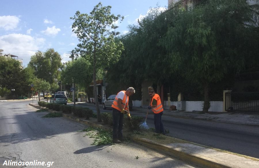 Καθαρισμός και κλάδεμα θάμνων στη νησίδα της Αγ. Δημητρίου