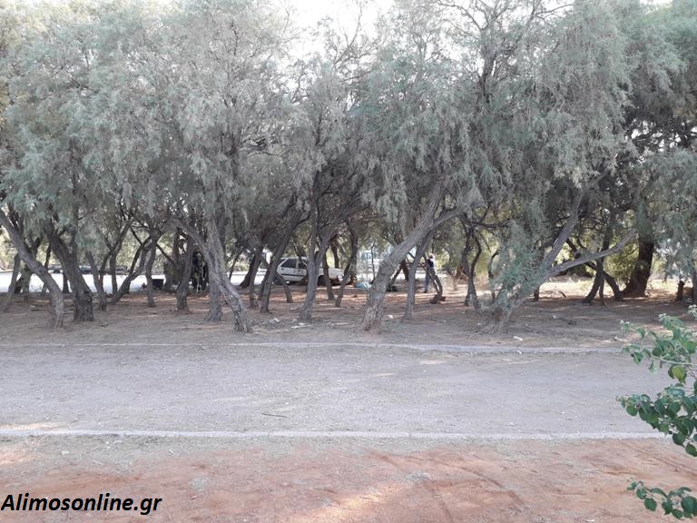 Καθαρίστηκε ο χώρος δίπλα στον Ναυτικό Όμιλο Καλαμακίου