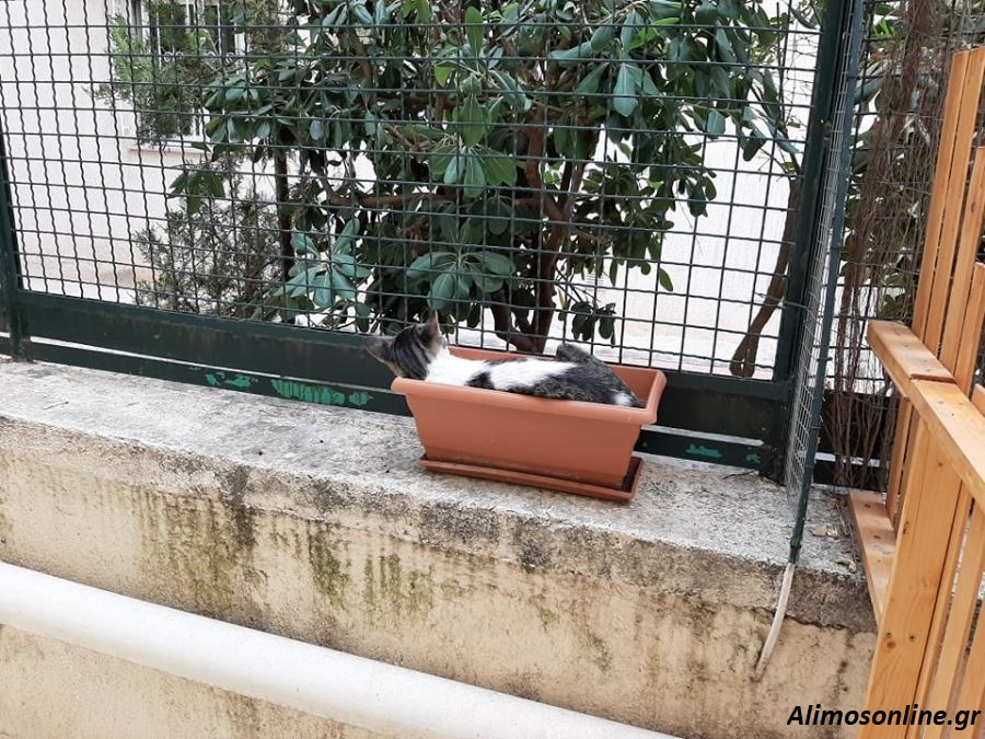 Όπως βολεύεται ο καθένας μας