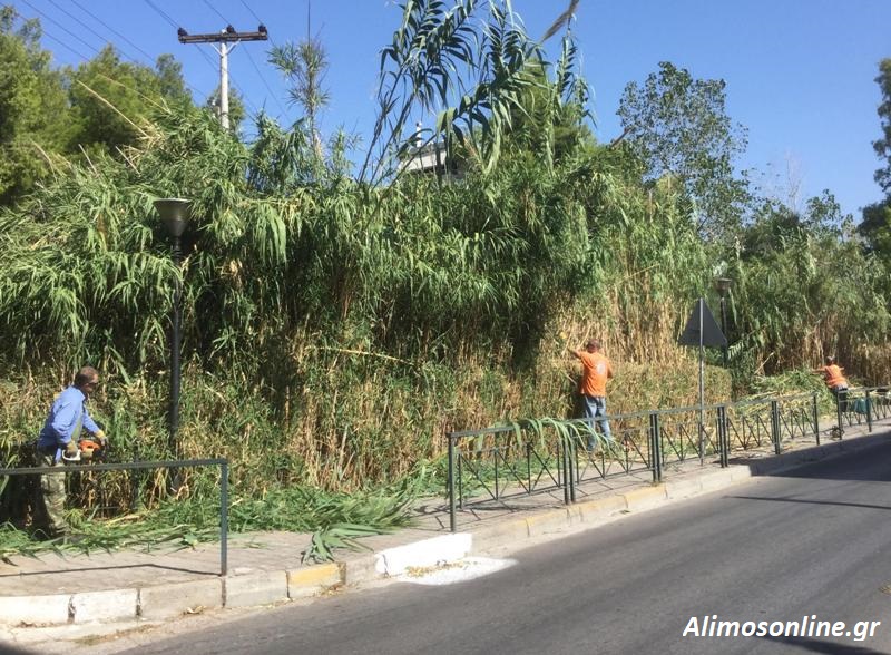 Καθαρισμός στο ρέμα της Αγίου Δημητρίου