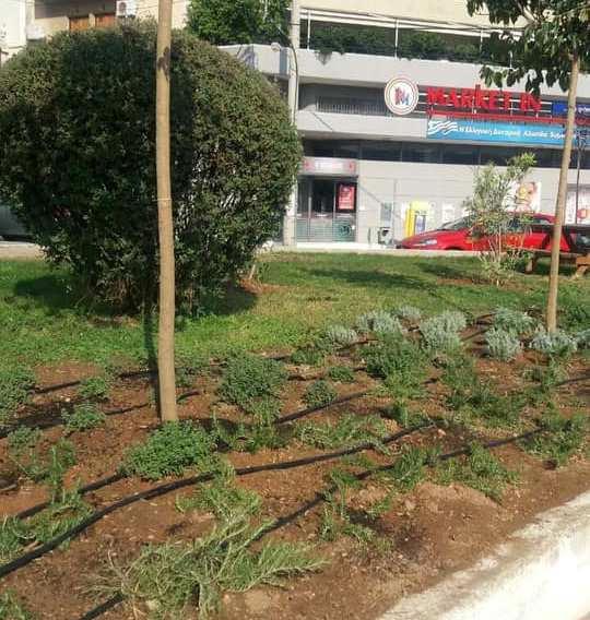 Κλέψανε φυτά από την πλατεία Αλ. Παναγούλη