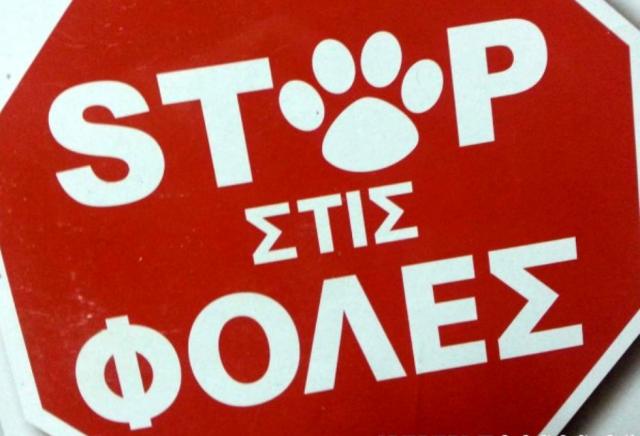 Κρούσμα φόλας στο Καλαμάκι
