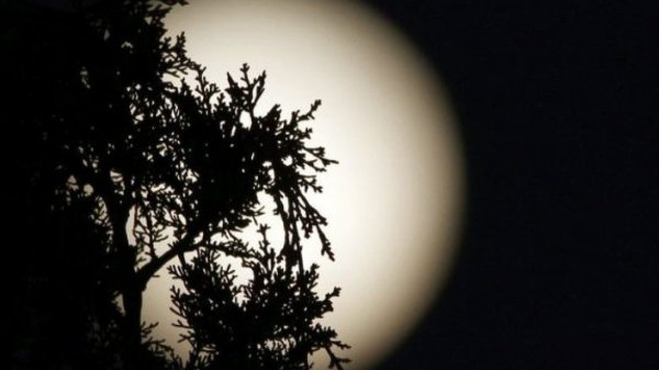 Απόψε η πρώτη πανσέληνος του 2020, γνωστή και ως «πανσέληνος του λύκου»