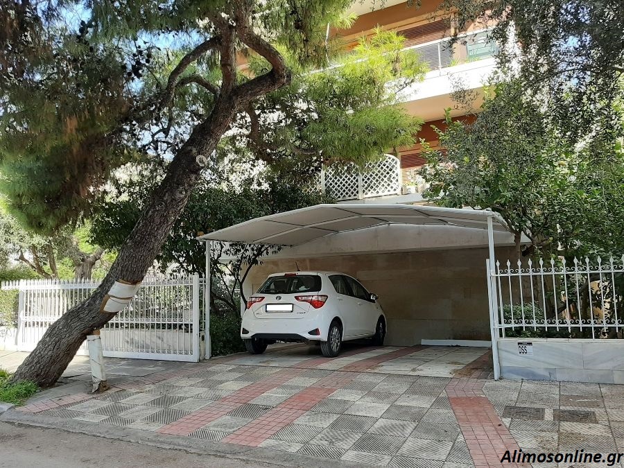 Ένα ακόμη πεύκο που είναι έτοιμο να πέσει στο Καλαμάκι