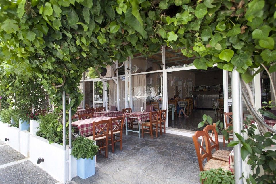 Με την άνοιξη να είναι εδώ, τι θα έλεγες για μεσημεριανό στην αυλή της ταβέρνας «Βασίλης»