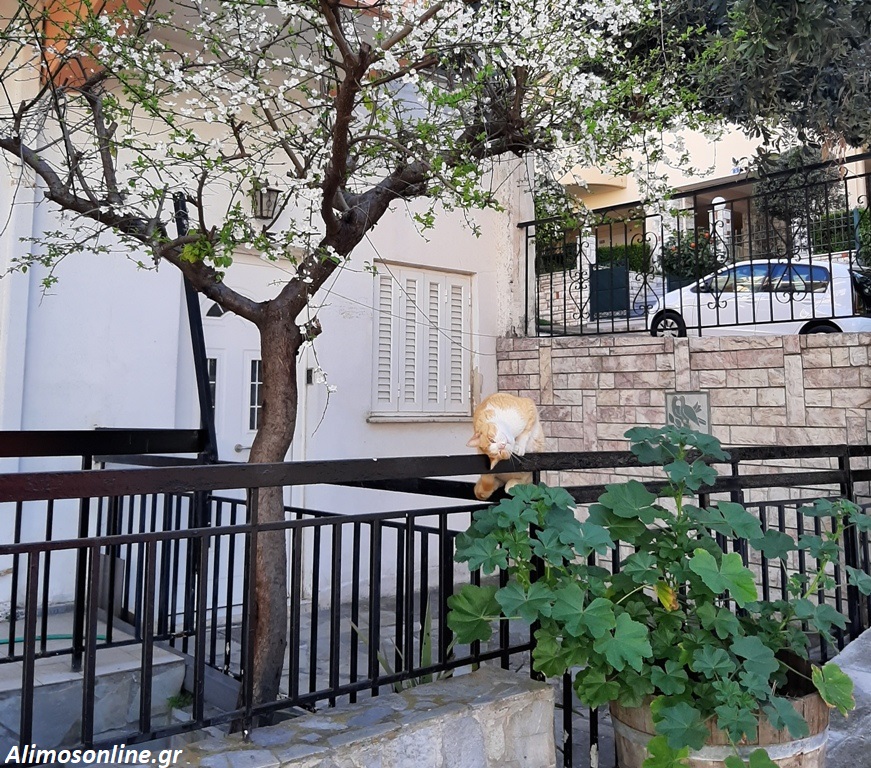 Ο καθένας μας…όπως βολεύεται