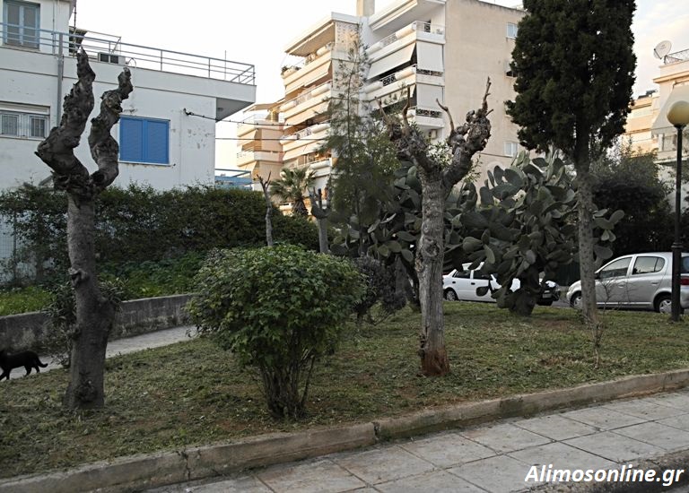 Καθαρισμός και φροντίδα στο παρκάκι της οδού Αθ. Διάκου