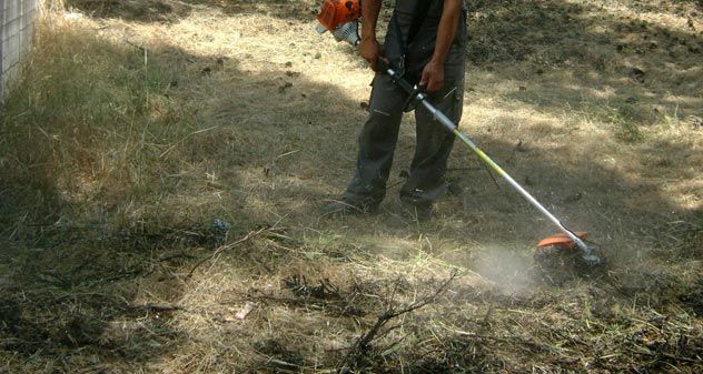 Υποχρεωτική αποψίλωση στα οικόπεδα και τις αυλές
