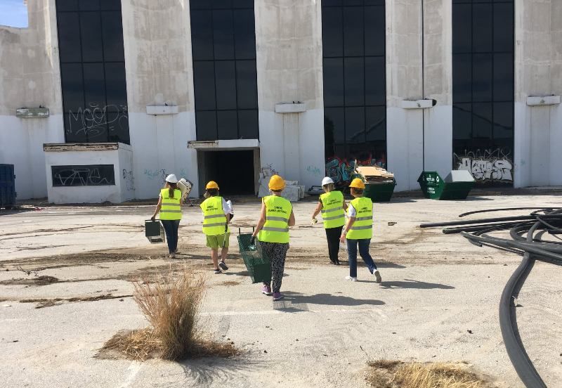 56 αδέσποτες γάτες έχουν απομακρυνθεί από τον χώρο του πρώην αεροδρομίου – Συνεχίζεται η περισυλλογή τους