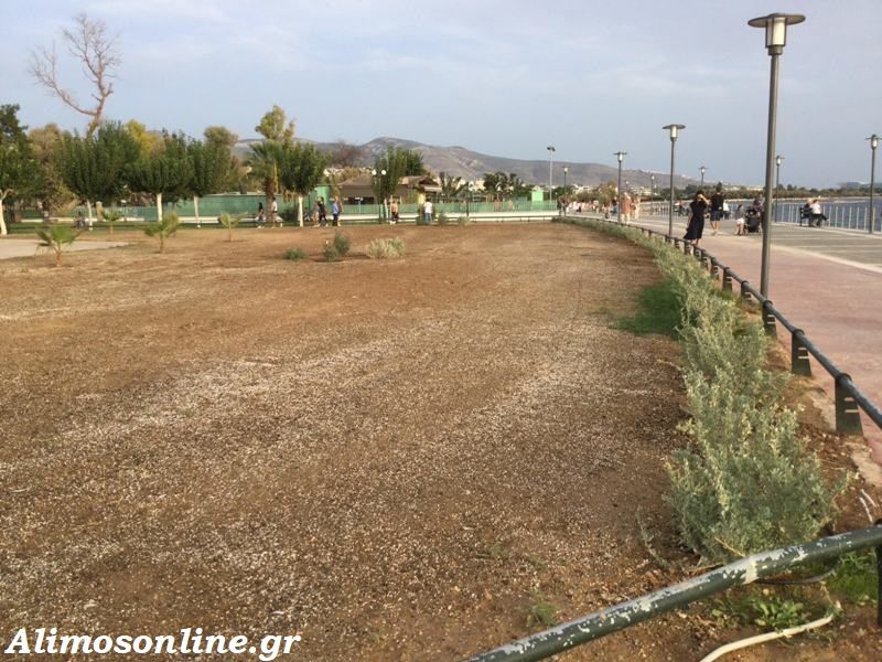 Συνεχίζει να ομορφαίνει η παραλία μας