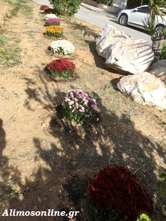 Χρώμα απέκτησαν παρτέρια του Αλίμου