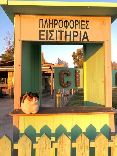 Τα υπέροχα χρώματα του σημερινού ηλιοβασιλέματος