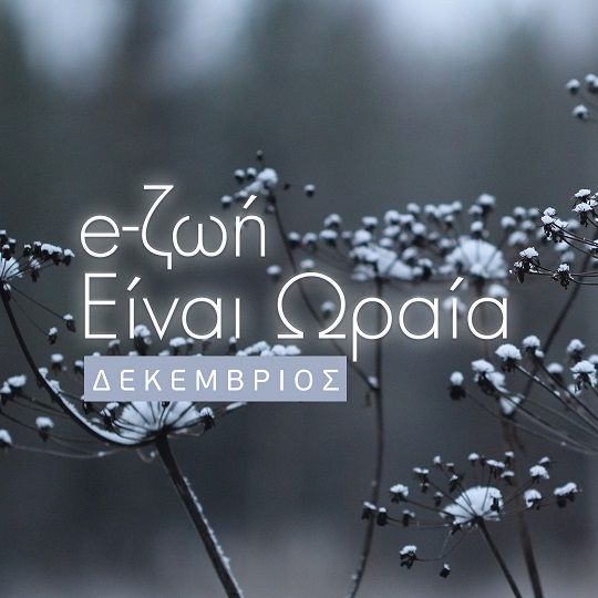 Η ζωή είναι ωραία: Το πρόγραμμα του Δεκεμβρίου