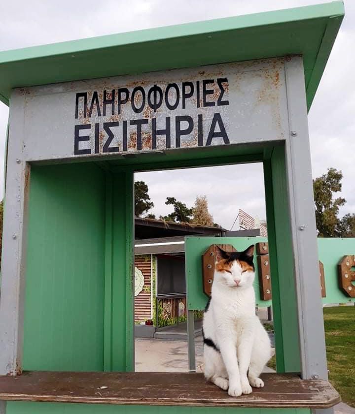 Αναμφίβολα, η Αλιμιώτικη μασκότ του 2020