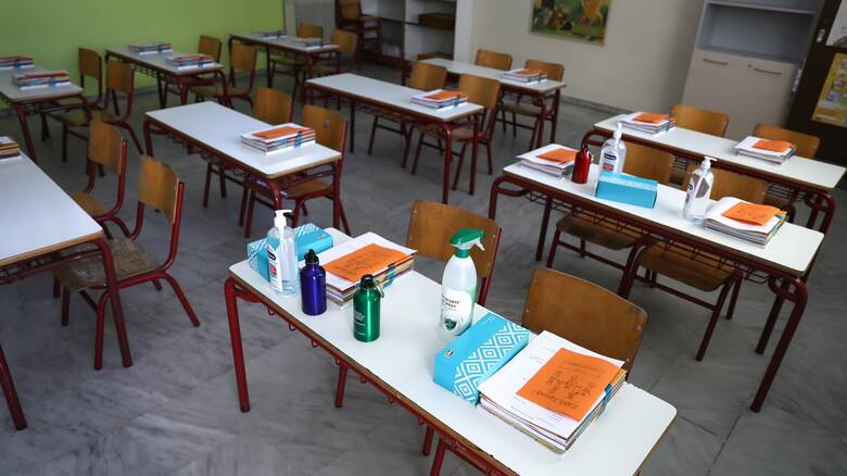 Οι εισηγήσεις των λοιμωξιολόγων για τα σχολεία: Τα κλιμακωτά ωράρια, τα τεστ και τα σενάρια για την τηλεκπαίδευση