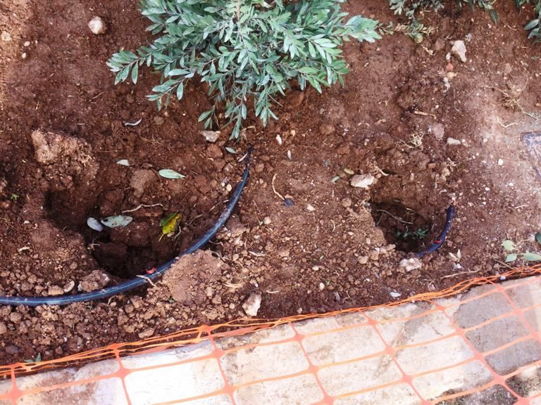 Άγνωστοι αφαίρεσαν ορισμένους από τους πρόσφατα φυτεμένους καλλωπιστικούς θάμνους στην Πλ. Καραϊσκάκη