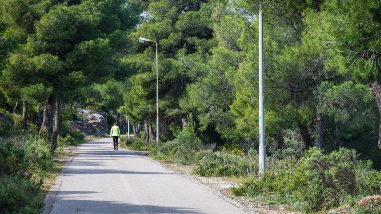 Το Δασαρχείο Εμποδίζει Τη Δημιουργία Πεζοπορικών Διαδρομών Στον Υμηττό