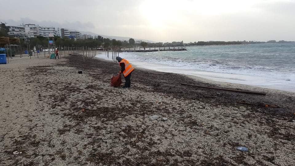 116 σάκοι απορριμμάτων από το Α και Β Αλίπεδο
