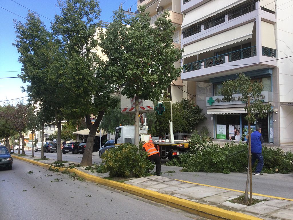  Κλαδεύτηκαν τα δένδρα της οδού Γ.Παπανδρέου στο Καλαμάκι