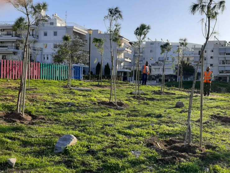 Φυτεύονται δένδρα στην παιδική χαρά της οδού Μανδηλαρά