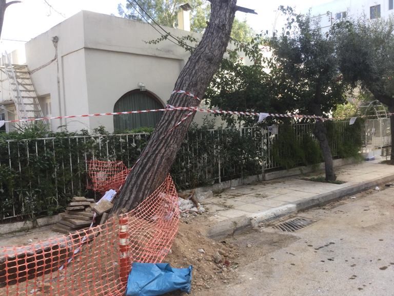 Oι ευχαριστίες μίας Αλιμιώτισσας προς την Υπηρεσία Περιβάλλοντος του Δήμου μας