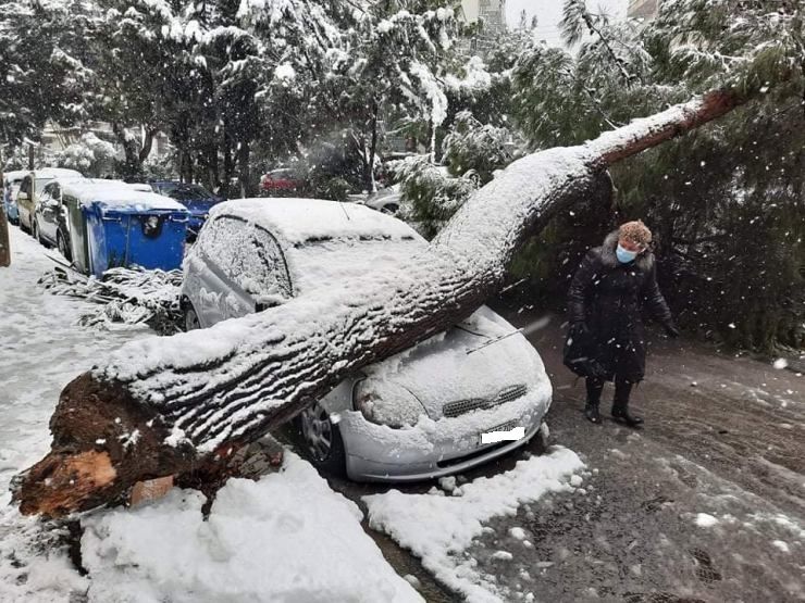 39 δέντρα του Αλίμου έσπασε η «Μήδεια»