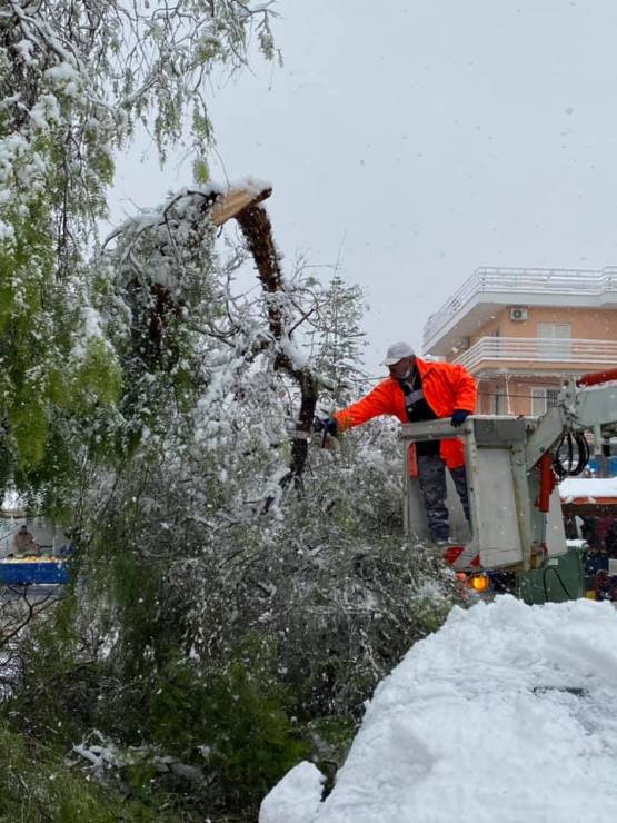 Απομακρύνθηκαν από τους δρόμους της πόλης όλα τα σπασμένα δέντρα και μεγάλα κλαδιά